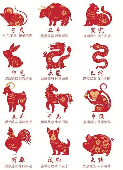 今期生肖走西北,有人看看鸡羊狗是什么生肖，全面释义、综合解答解释落实